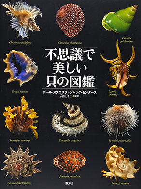 不思議で美しい貝の図鑑